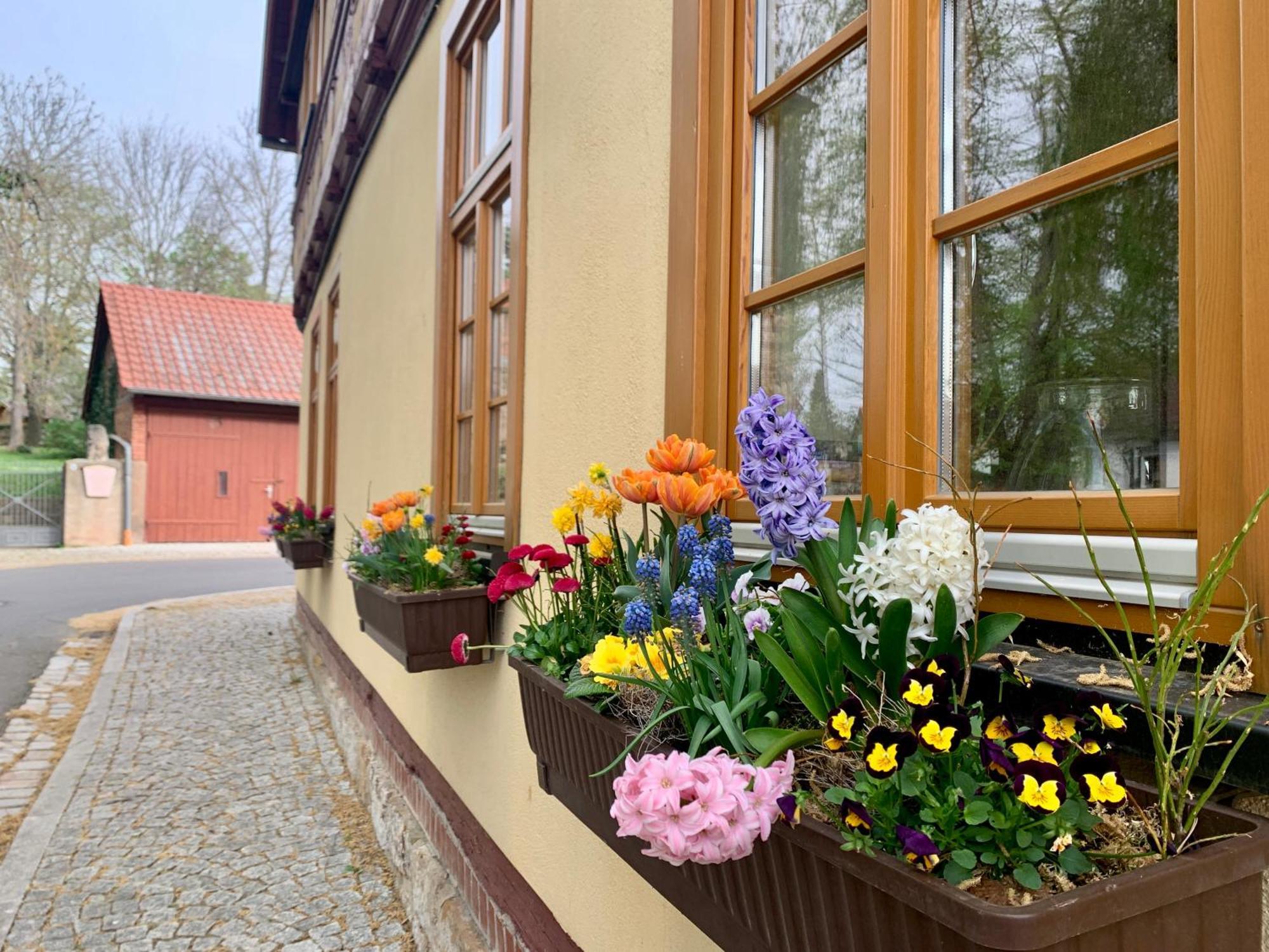 Landhotel Ruhepol - Garni Arnstadt Exterior foto